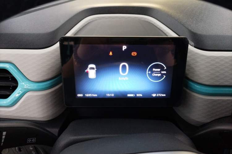 Used SOL E10X 2022 Flower Fairy Style Baby's Breath
