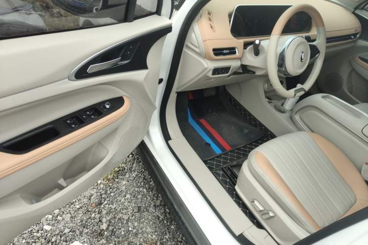 Used ORA Good Cat 2024 401 km Luxury Version
