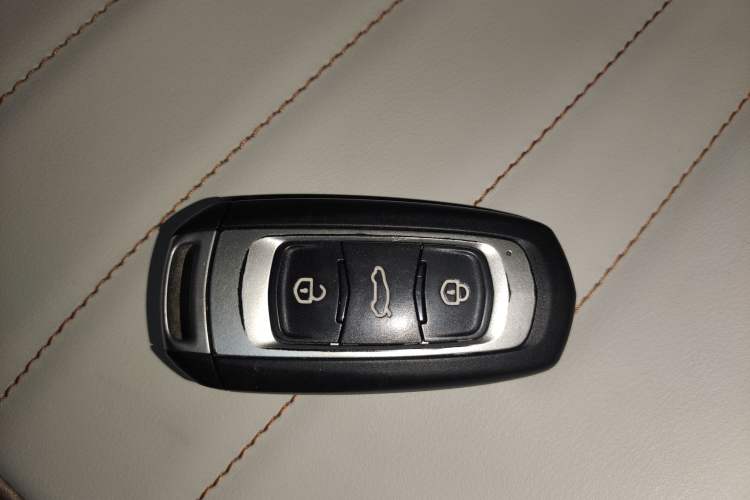 Used Geely Galaxy Panda 2023 Panda Mini 200km Endurance Bear