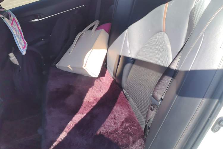 Used Toyota Camry 2018 2.5G Luxury Edition Left Rear Seat