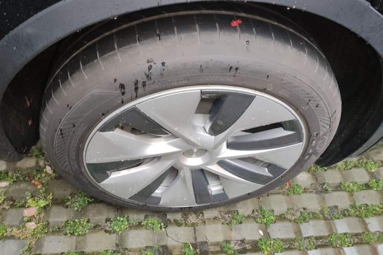 Used Tesla Model Y 2022 Revised Version Rear-Wheel Drive
