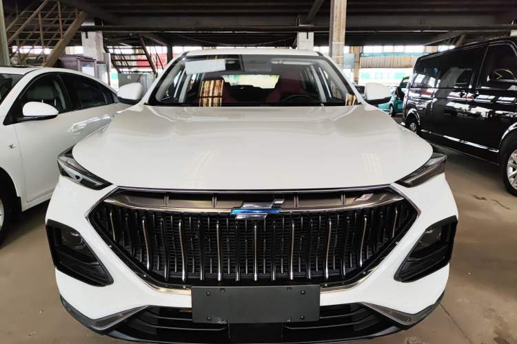 Used Oshan X5 2023 Enjoy Edition 1.5T DCT Luxury Model
