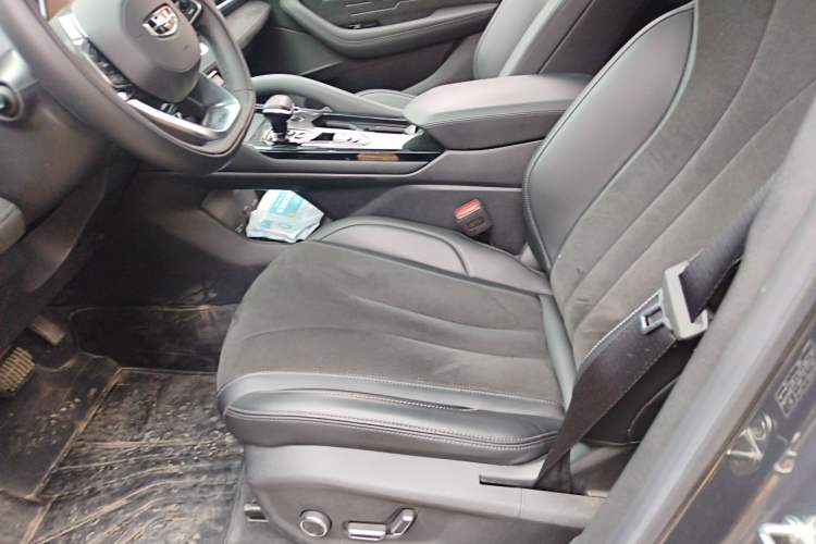 Used Geely Auto Monjaro L 2024 2.0TD High-Power Automatic Two-Wheel Drive Skyline Edition
