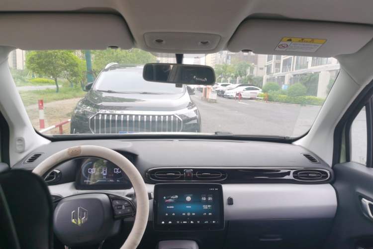 Used Leapmotor T03 2022 Hometown Jade Edition Headliner