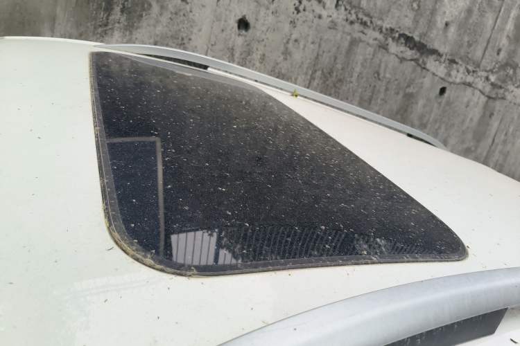 Used FORTHING T5 2020 1.6L Manual Comfort Model China VI Standard Roof