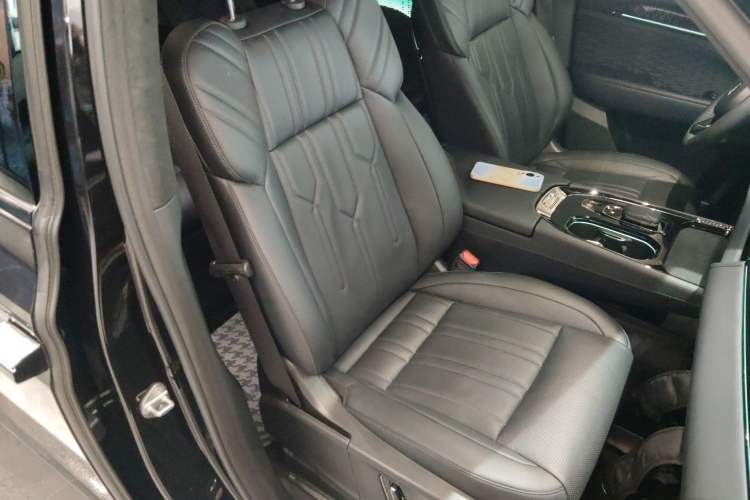 Used Zeekr 009 2022 WE Edition Right Front Seat