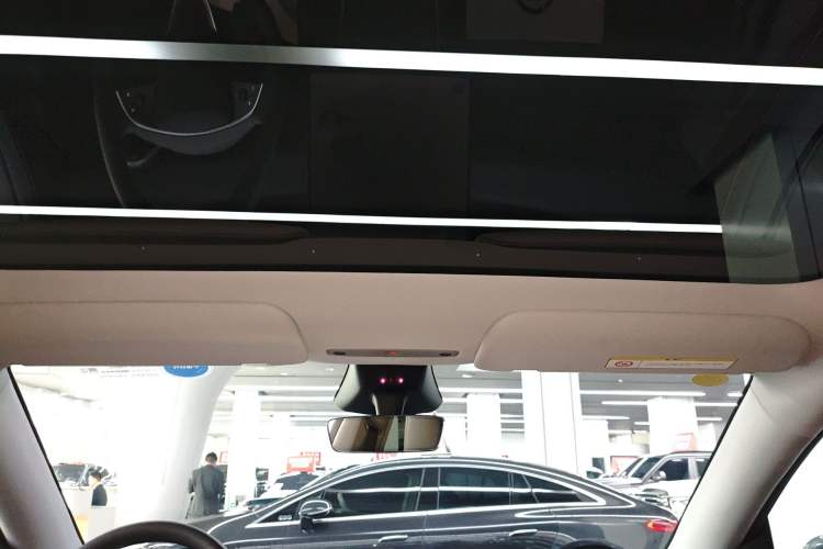 Used Tesla Model Y 2025 Rear-Wheel Drive First Edition Headliner