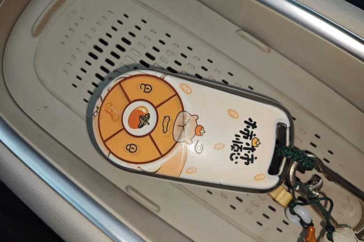 Used ORA Good Cat 2023 401 km Standard Range Luxury Version Lithium Iron Phosphate