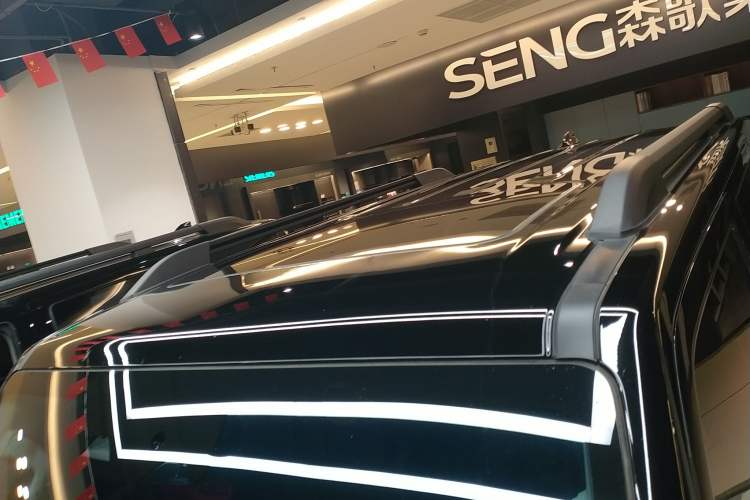 Used Tank 300 2024 2.0T Conqueror
