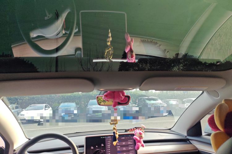 Used Tesla Model 3 2022 Rear-Wheel-Drive Version
