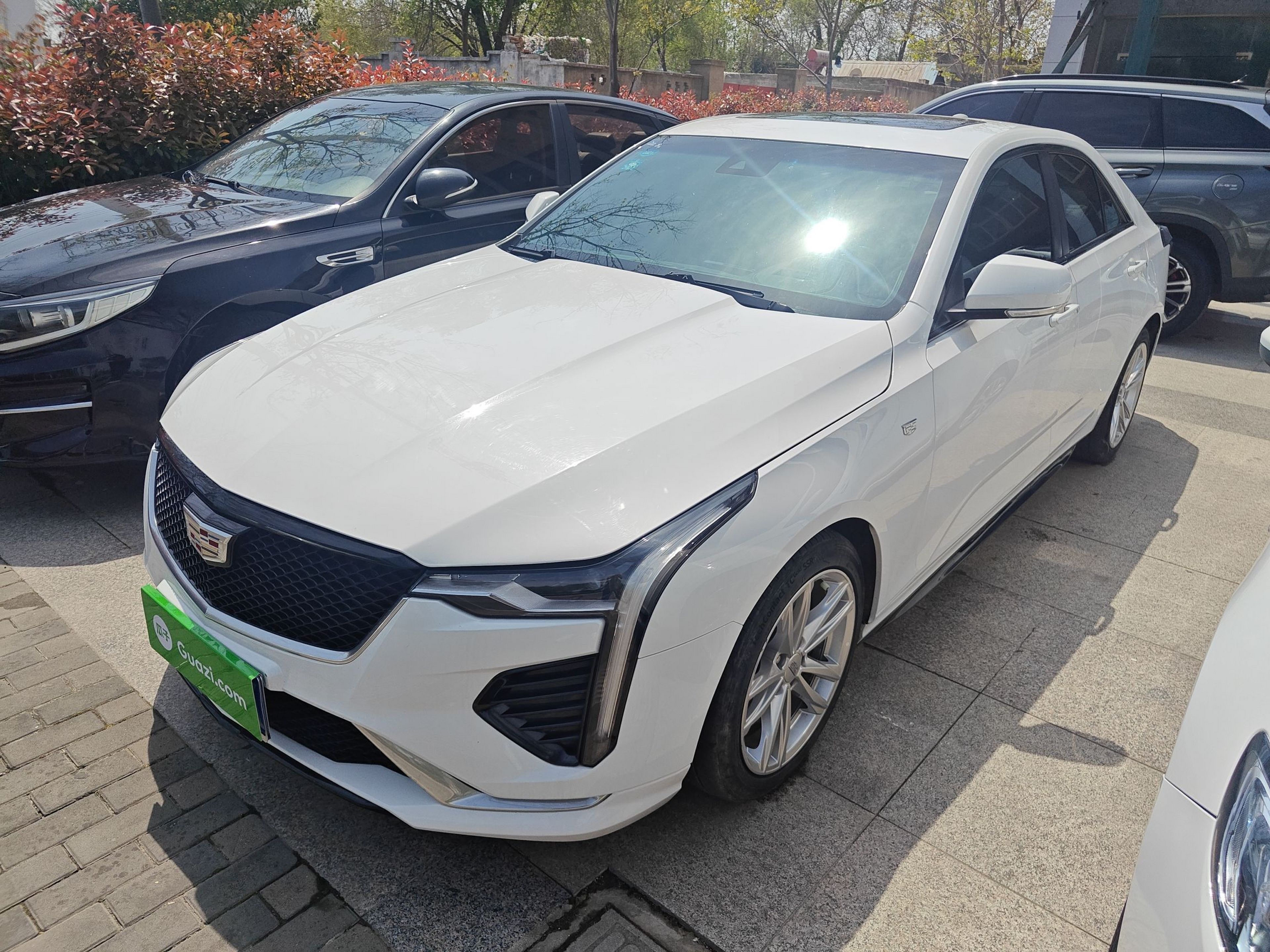 Parte inferior delantera