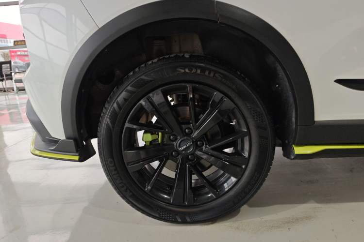 Used Haval LHERY 2021 High-Performance Version 1.5T Golden Rabbit