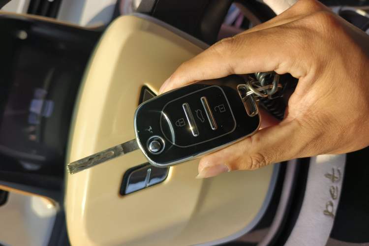 Used Wuling Hongguang MINIEV 2021 Macaron Fashion Edition Lithium-Ion Battery
