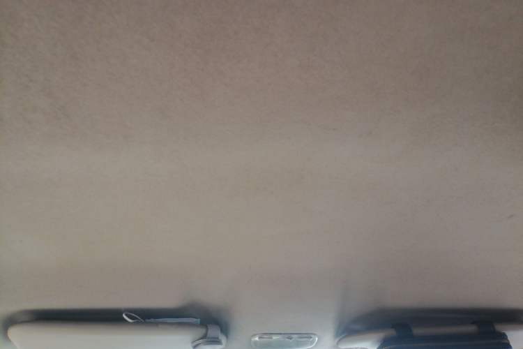 Used Citroen Elysee 2014 1.6L Manual Fashion Model CNG Headliner