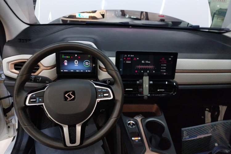 Used SOL E10X 2022 Flower Fairy Design Dandelion