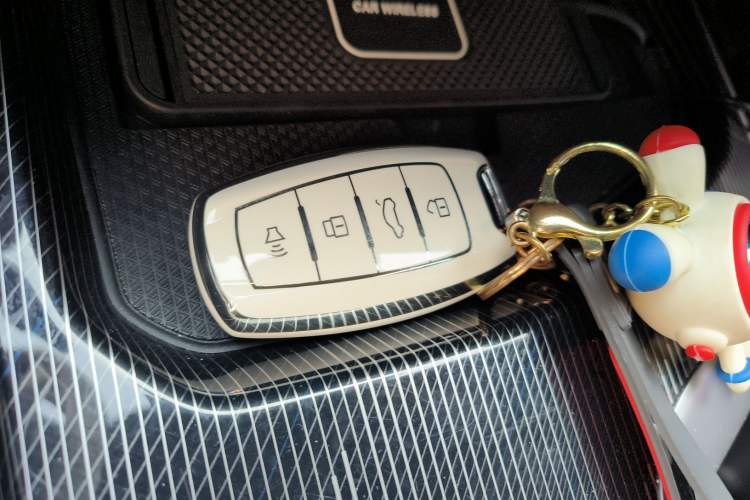 Used Haval LHERY 2021 High-Performance Version 1.5T Golden Rabbit