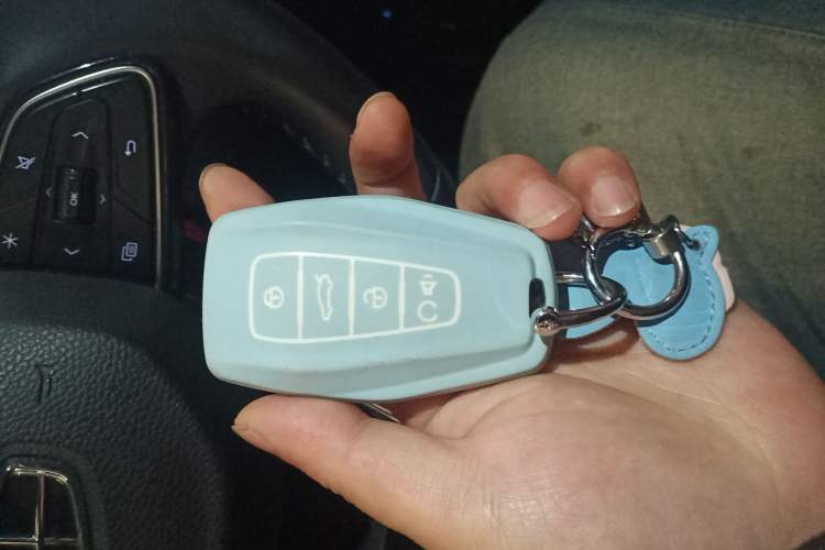 Used Geely Auto Preface 2023 2.0TD "Only This Verdant Green" Edition