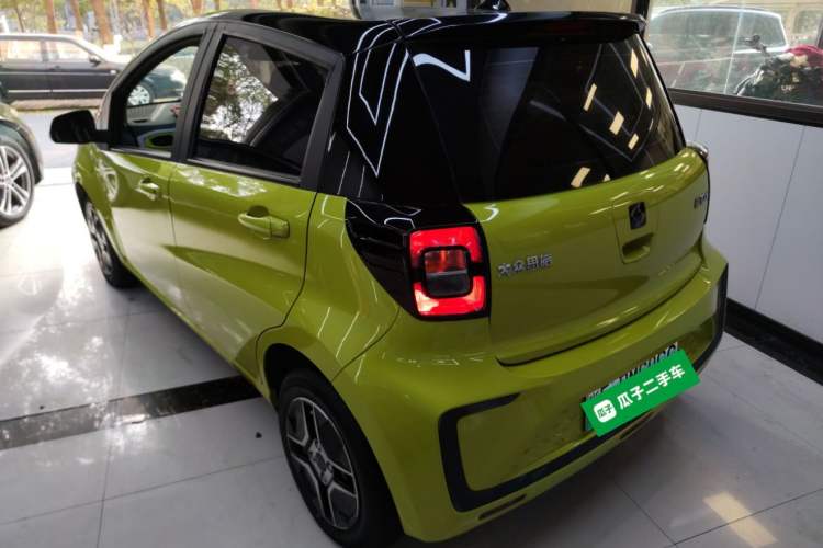 Used SOL E10X 2022 Flower Fairy Design Four-Leaf Clover
