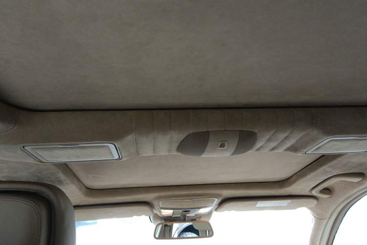 Used Mercedes-Benz S-Class 2010 S 600 L Headliner