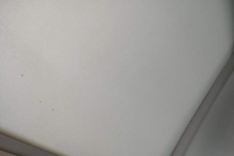 Used Volkswagen Tiguan L 2019 330TSI Automatic Two-Wheel Drive Smart Luxury Version China V Emission Standard