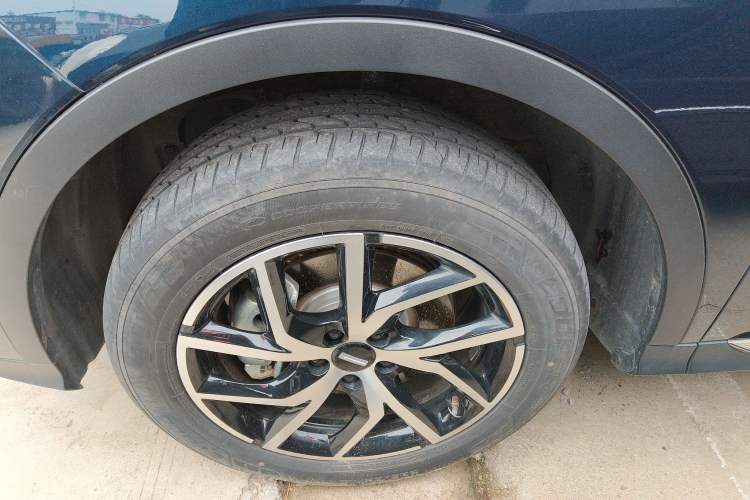 Used Wey Latte DHT-PHEV 2022 1.5T Four-Wheel Drive Extra-Large Version