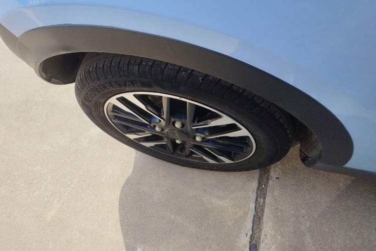 Used Chery Little Ant 2023 251km True Love Edition Lithium Iron Phosphate