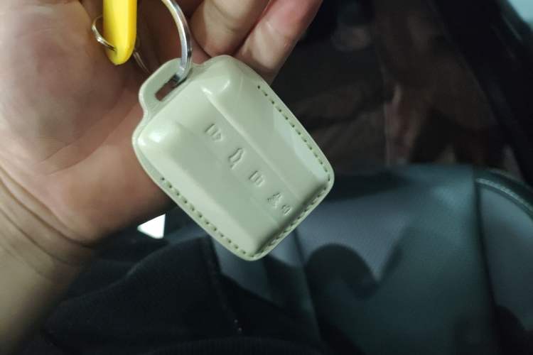 Used Tank 300 2024 2.0T Crosser