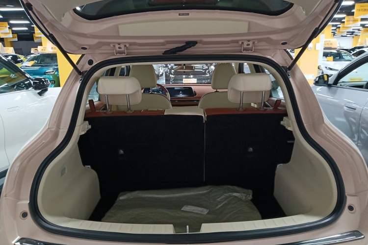 Used ORA Good Cat 2021 400km Standard Range Athena Edition Lithium-Ion Battery
