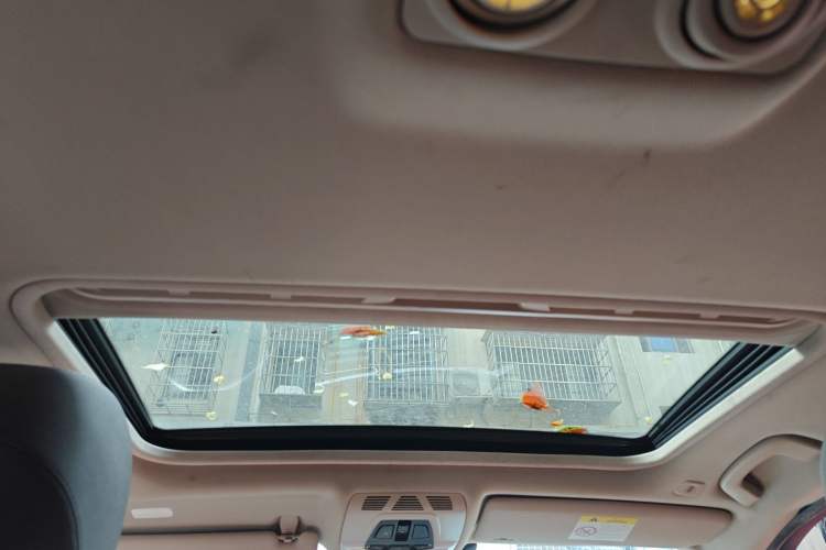 Used BMW 3 Series 2018 320Li Fashion Model Headliner