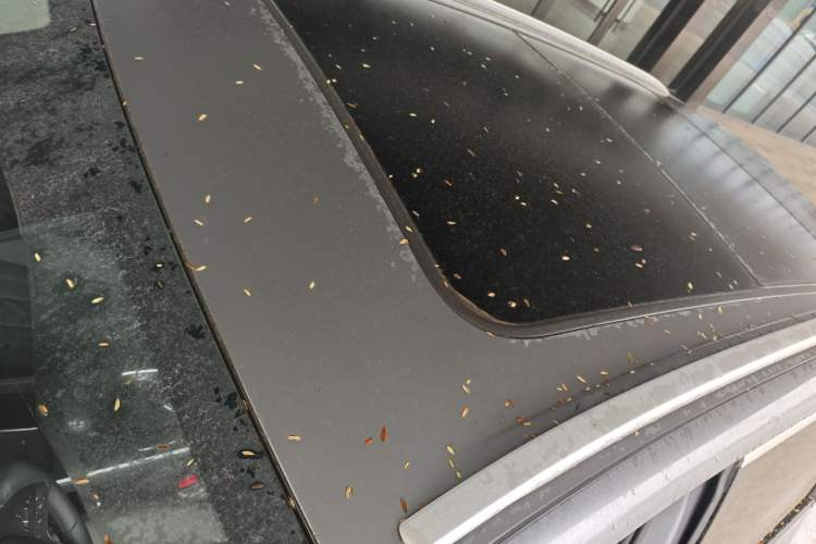 Used BYD Song L DM-i 2025 Intelligent Driving Version 112 km Beyond-Range Type