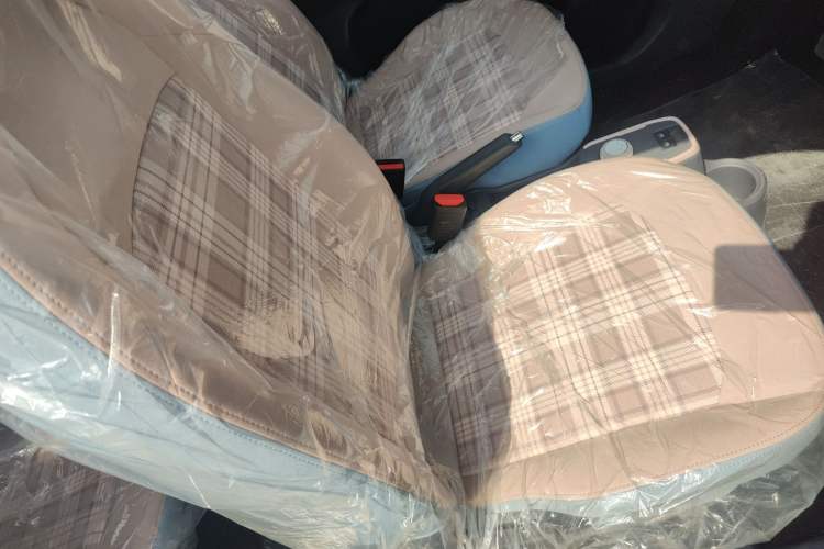 Used Chery QQ Ice Cream 2024 120km Milkshake Right Front Seat