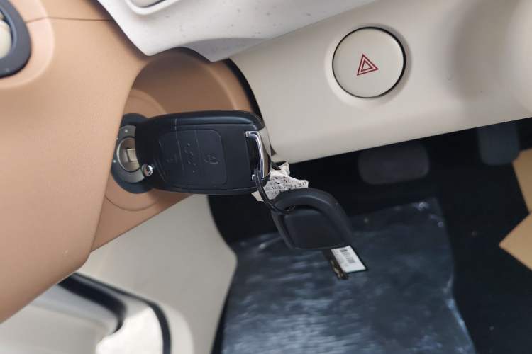 Used Wuling Hongguang MINIEV 2024 3rd Generation 215km Youth Edition