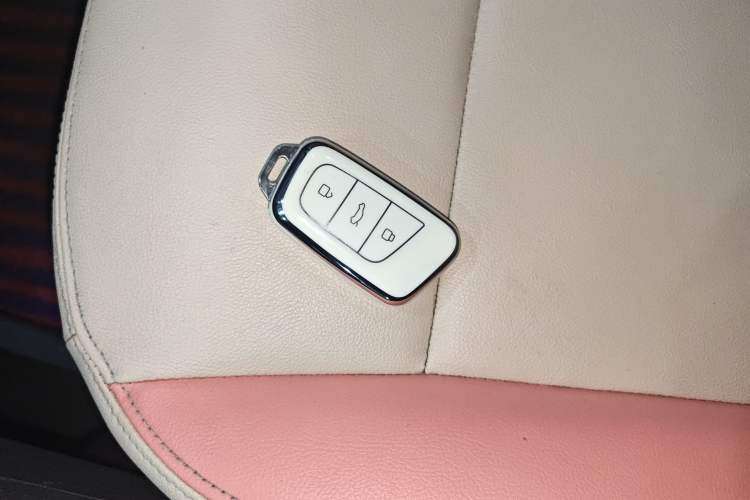 Used Chery QQ Little Ant 2021 150 000 Yuan "Ant Fan" Edition New Ant Cool Version Lithium-Ion Battery Vehicle Key