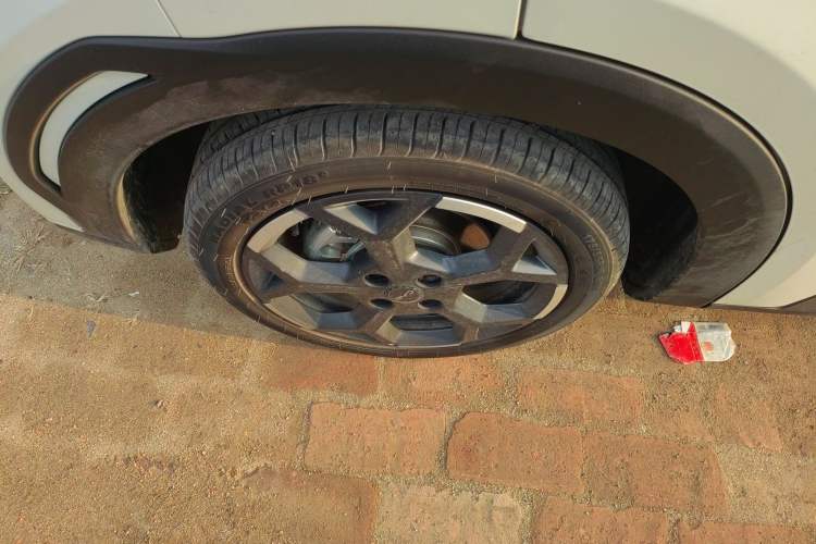 Used BYD Seagull 2025 305 km Free Version