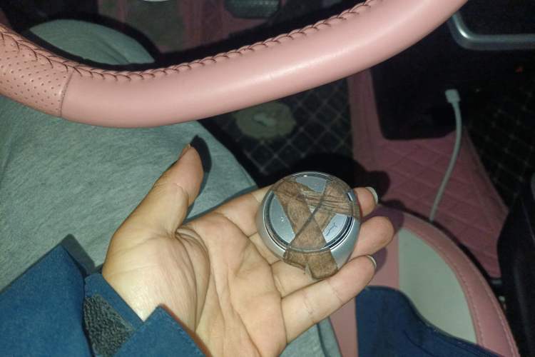 Used NETA V 2022 Chao 400 Lite Pink Custom Edition