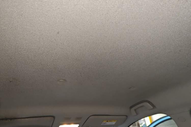 Used ORA Black Cat 2021 301km Cute Pet Edition Headliner