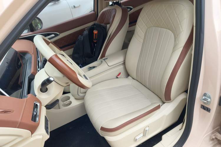 Used ORA Good Cat 2024 401 km Luxury Version Left Front Seat