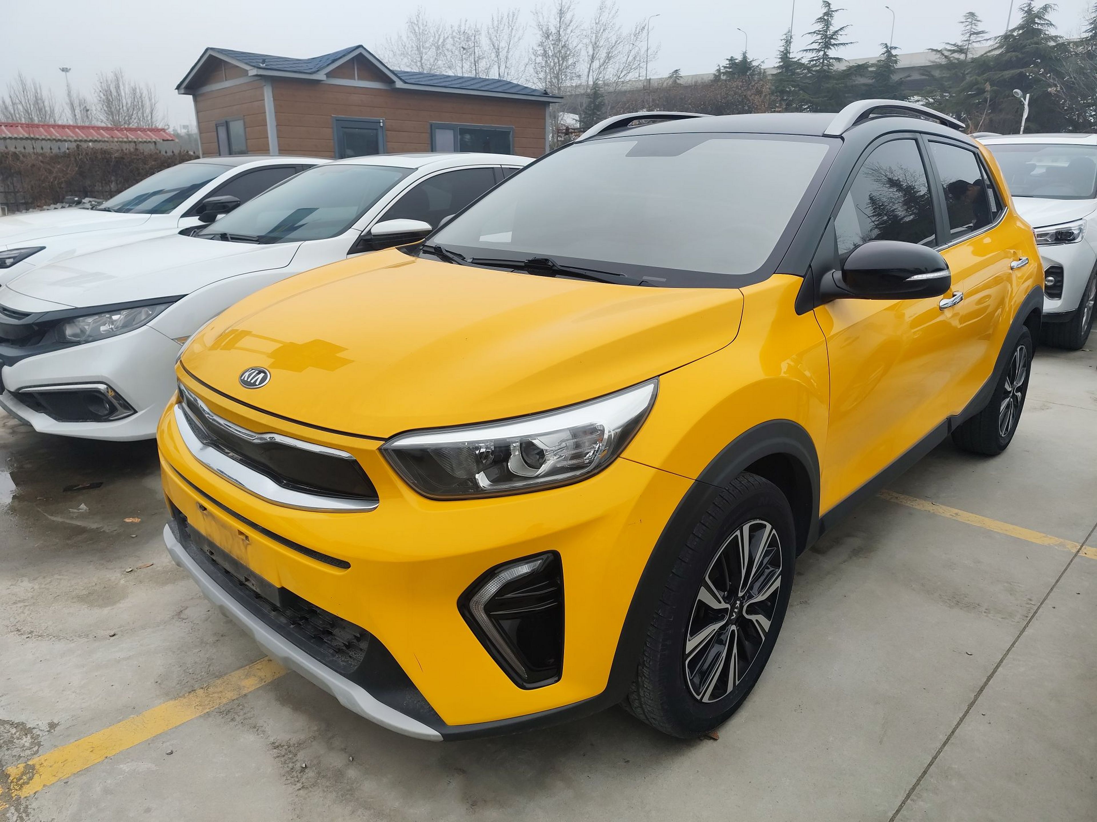 تحت مقدمة السيارة