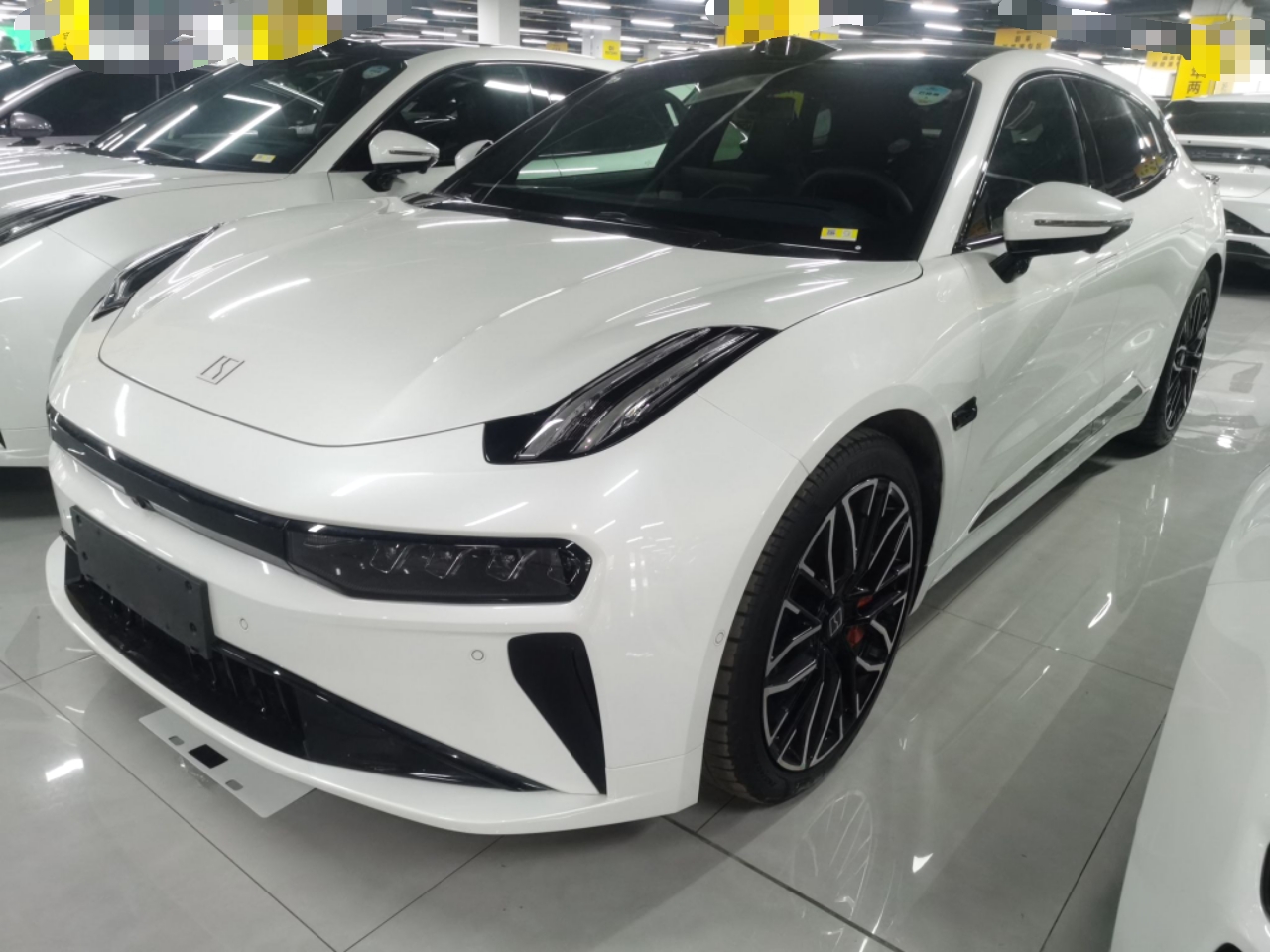 Parte inferior delantera