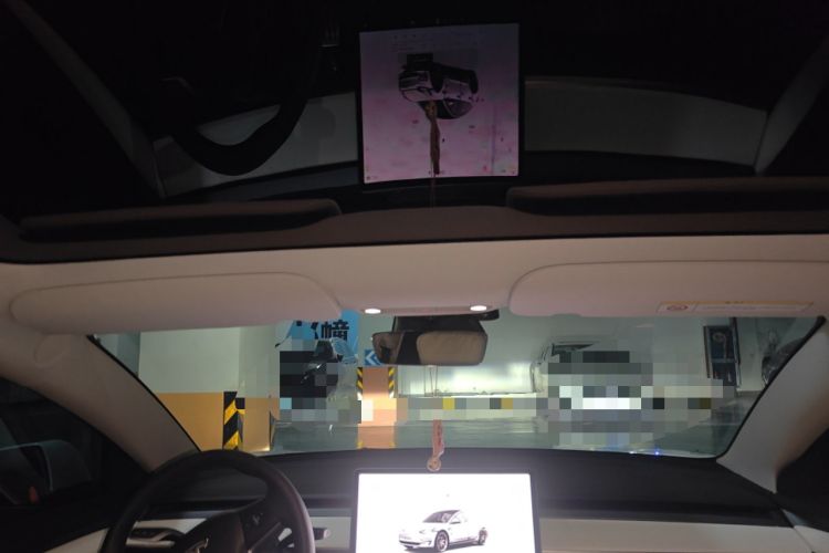 Used Tesla Model 3 2022 Performance High-Performance All-Wheel-Drive Version Headliner