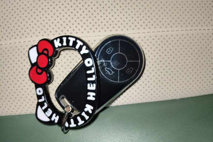 Used ORA Good Cat 2023 401 km Standard Range Premium Version Lithium Iron Phosphate Vehicle Key