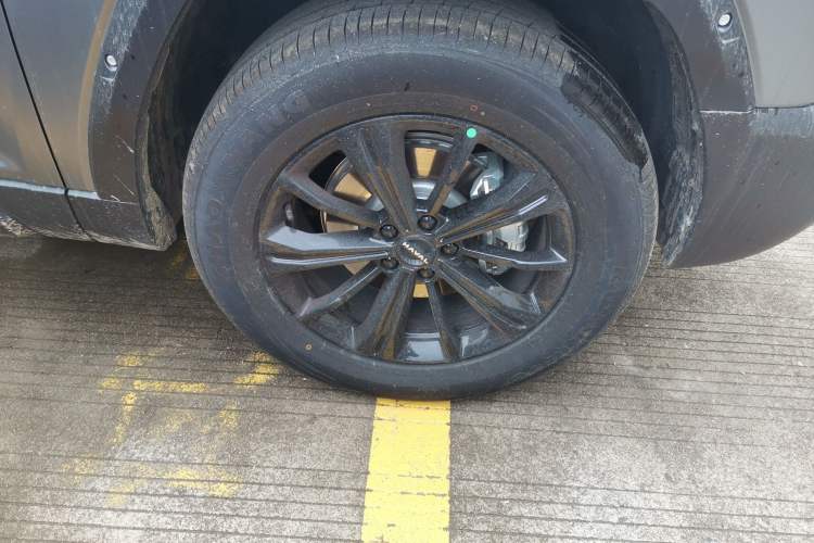 Used Haval Raptor 2025 2.0T 4WD Pro
