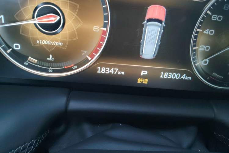 Used Hongqi LS7 2022 4.0T Elegant Flagship Edition 6 Seats Odometer Close Up