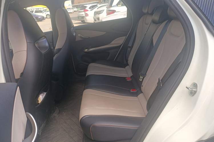 Used BYD Dolphin 2025 420km Active Version Left Rear Seat