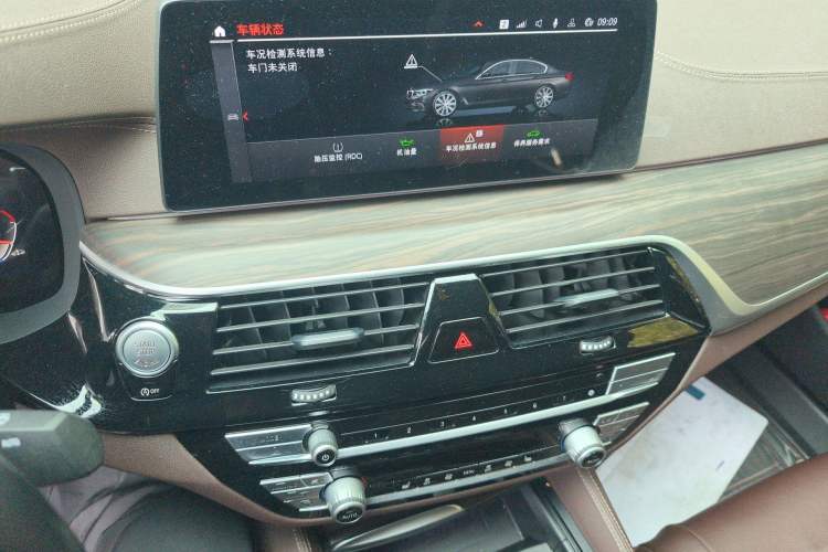 Used BMW 5 Series 2020 530Li Leading Edition Luxury Package