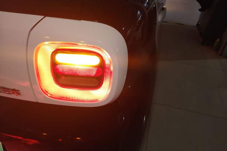 Used ORA Black Cat 2021 351 km Luxury Version
