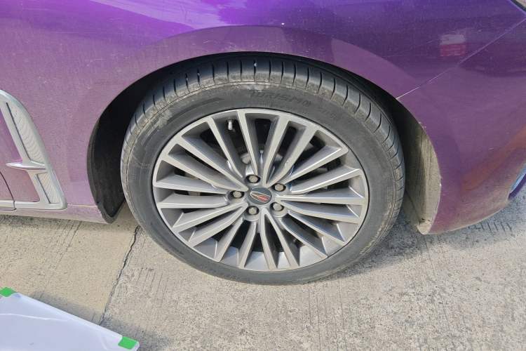 Used Hongqi H9 2020 2.0T Smart Connect Flagship Edition