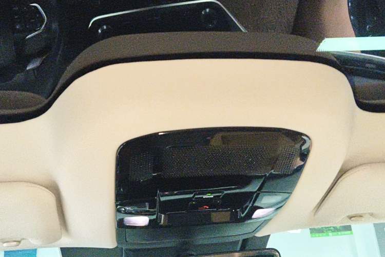 Used Lexus RZ 2023 300e Long-Range Indulgence Edition Headliner