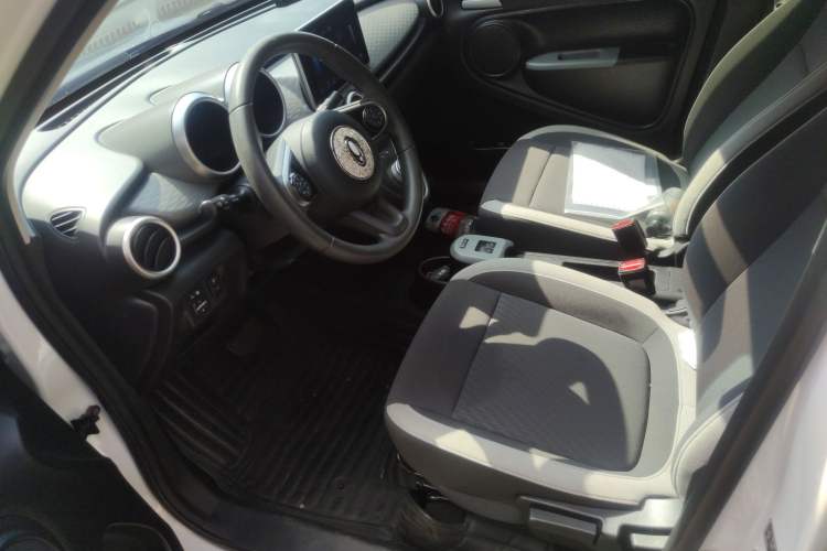 Used ORA Black Cat 2022 Updated Version 301 km Cute Pet Edition Lithium Iron Phosphate Driver Seat