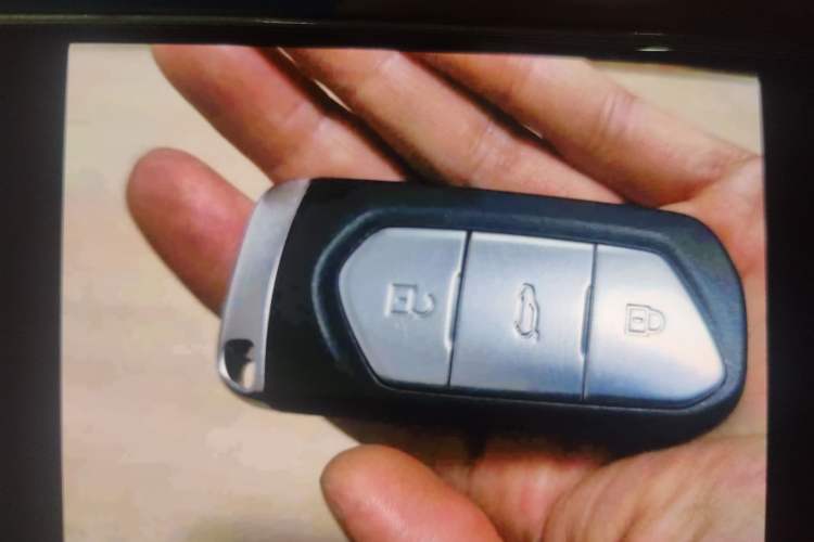 Used VOYAH FREE 2021 Two-Wheel Drive Standard Pure Electric City Edition